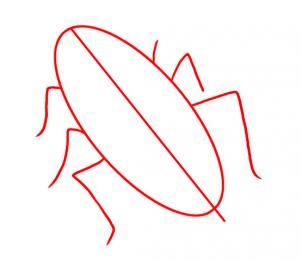 how-to-draw-a-cockroach-step-1_1_000000020263_3