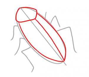 how-to-draw-a-cockroach-step-2_1_000000020265_3