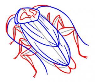 how-to-draw-a-cockroach-step-4_1_000000020269_3