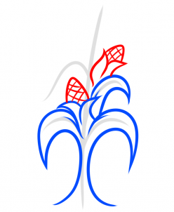 how-to-draw-a-corn-stalk-step-4_1_000000187561_3