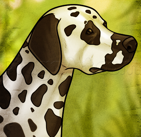 how-to-draw-a-dalmatian_2_000000021932_5