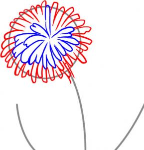 how-to-draw-a-dandelion-step-3_1_000000026111_3