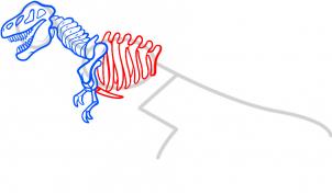 how-to-draw-a-dinosaur-skeleton-dinosaur-skeleton-step-5_1_000000085553_3