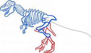 how-to-draw-a-dinosaur-skeleton-dinosaur-skeleton-step-7_1_000000085557_3