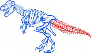 how-to-draw-a-dinosaur-skeleton-dinosaur-skeleton-step-8_1_000000085559_3