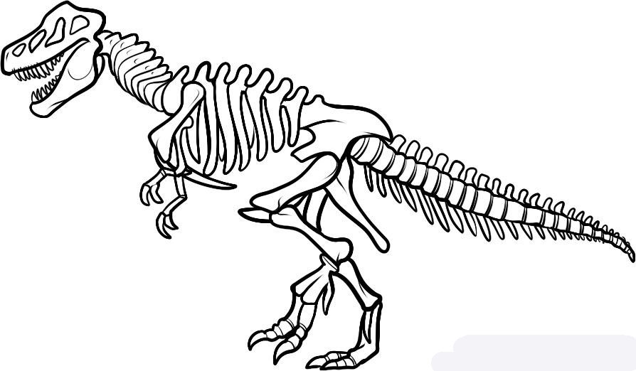 how-to-draw-a-dinosaur-skeleton-dinosaur-skeleton-step-9_1_000000085561_5