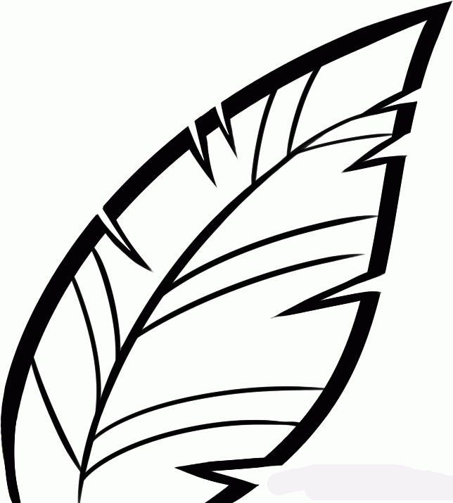 how-to-draw-a-fern-step-5_1_000000129791_5