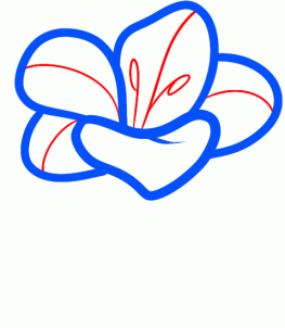 how-to-draw-a-freesia-step-4_1_000000095471_3