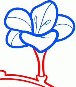 how-to-draw-a-freesia-step-5_1_000000095473_3