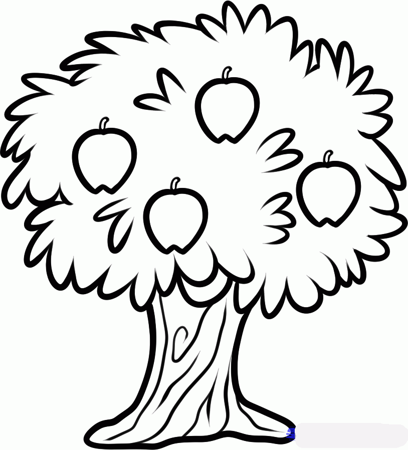 how-to-draw-a-fruit-tree-step-5_1_000000134865_5
