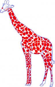how-to-draw-a-giraffe-step-4_1_000000001593_3