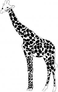 how-to-draw-a-giraffe-step-5_1_000000001594_3