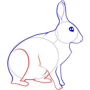how-to-draw-a-hare-step-5_1_000000053617_3