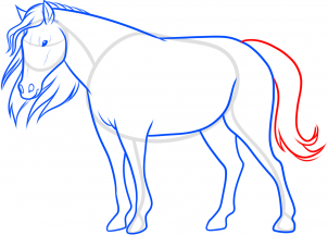 how-to-draw-a-horse-for-beginners-step-10_1_000000181465_3