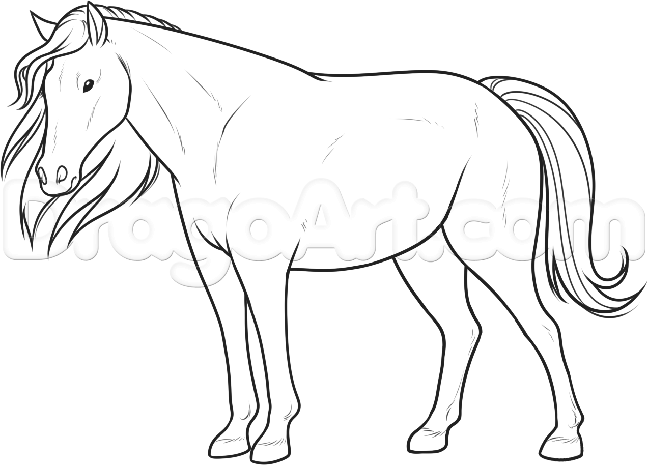 how-to-draw-a-horse-for-beginners-step-11_1_000000181466_5