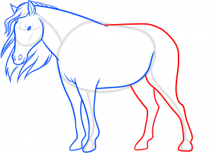 how-to-draw-a-horse-for-beginners-step-9_1_000000181464_3