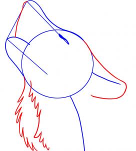 how-to-draw-a-howling-wolf-step-3_1_000000010694_3