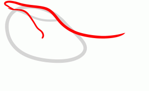 how-to-draw-a-humpback-whale-humpback-whale-step-2_1_000000131545_3