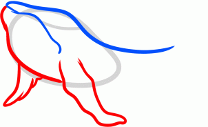 how-to-draw-a-humpback-whale-humpback-whale-step-3_1_000000131547_3