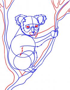 how-to-draw-a-koala-step-4_1_000000008330_3