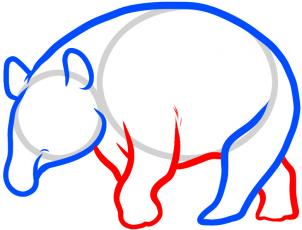 how-to-draw-a-malayan-tapir-malayan-tapir-step-4_1_000000086041_3