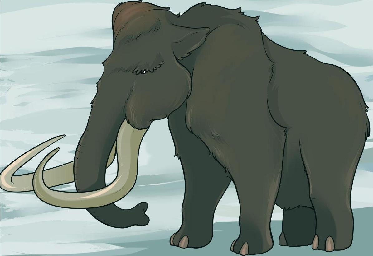 how-to-draw-a-mammoth_1_000000007717_5