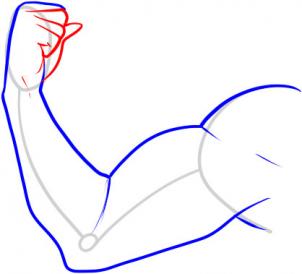 how-to-draw-a-muscle-step-7_1_000000050705_3
