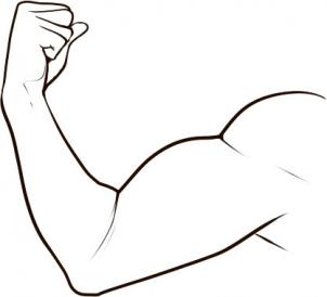 how-to-draw-a-muscle-step-8_1_000000050707_3