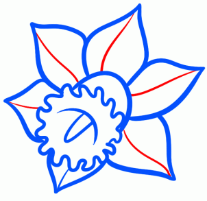 how-to-draw-a-narcissus-step-4_1_000000095951_3