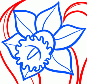 how-to-draw-a-narcissus-step-5_1_000000095953_3