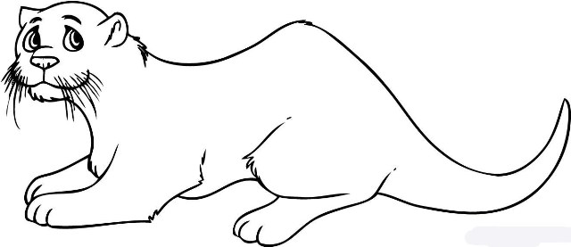 how-to-draw-a-otter-step-6_1_000000016039_5