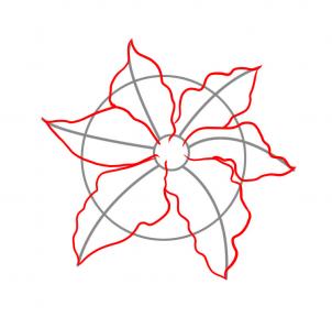 how-to-draw-a-poinsettia-step-2_1_000000033339_3