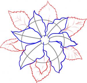 how-to-draw-a-poinsettia-step-3_1_000000033341_3