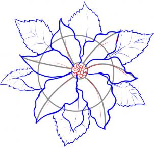 how-to-draw-a-poinsettia-step-4_1_000000033345_3