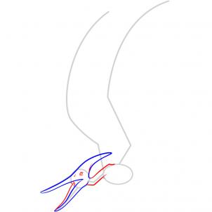 how-to-draw-a-pteranodon-step-3_1_000000051669_3