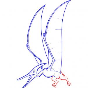 how-to-draw-a-pteranodon-step-6_1_000000051675_3