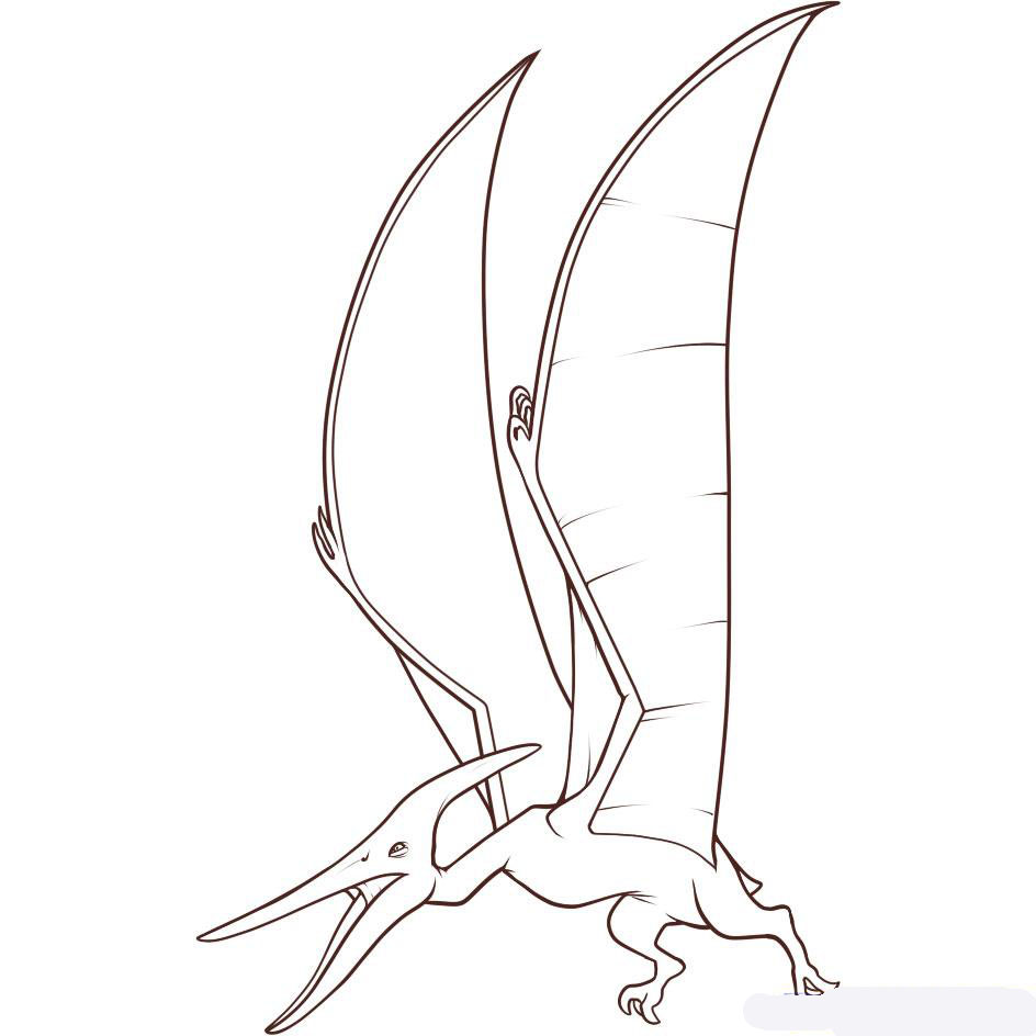 how-to-draw-a-pteranodon-step-7_1_000000051677_5