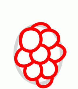 how-to-draw-a-raspberry-step-2_1_000000129939_3