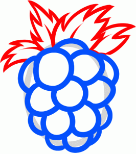 how-to-draw-a-raspberry-step-4_1_000000129943_3