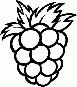 how-to-draw-a-raspberry-step-5_1_000000129945_3