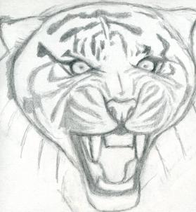 how-to-draw-a-roaring-tiger-step-5_1_000000076309_3