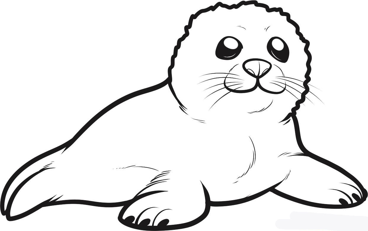 how-to-draw-a-seal-pup-seal-pup-step-6_1_000000088101_5