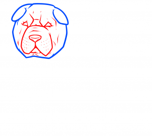 how-to-draw-a-shar-pei-step-2_1_000000184423_3