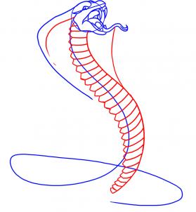 how-to-draw-a-snake-king-cobra-step-4_1_000000000720_3