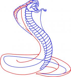 how-to-draw-a-snake-king-cobra-step-5_1_000000000721_3