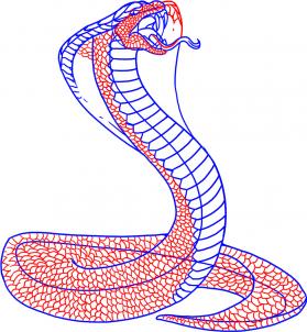 how-to-draw-a-snake-king-cobra-step-6_1_000000000722_3