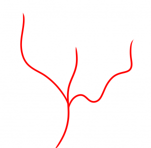 how-to-draw-a-spring-tree-step-1_1_000000182150_3