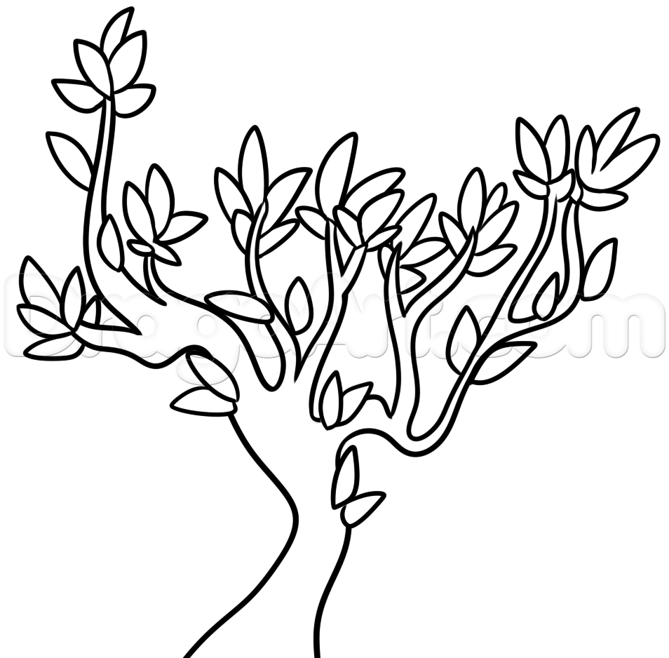 how-to-draw-a-spring-tree-step-4_1_000000182153_5