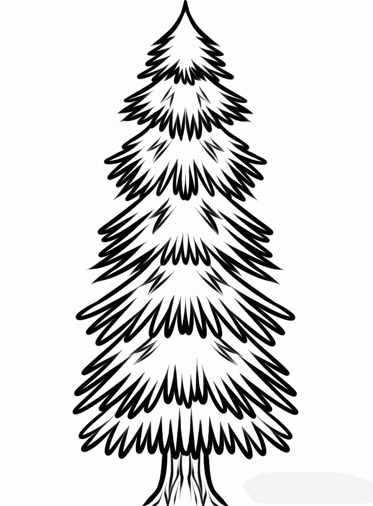 how-to-draw-a-spruce-tree-step-9_1_000000134507_5