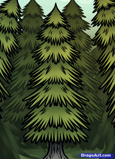 how-to-draw-a-spruce-tree_1_000000015470_5